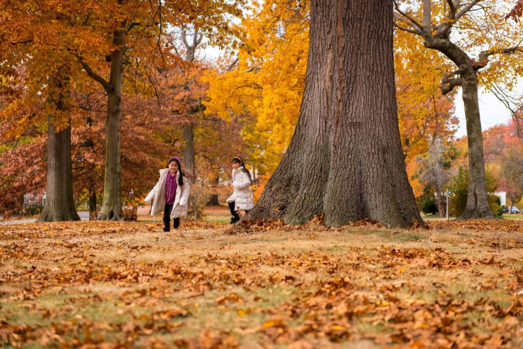 Girls Playing Near Tree During Radon Testing Cost Assessment Resized